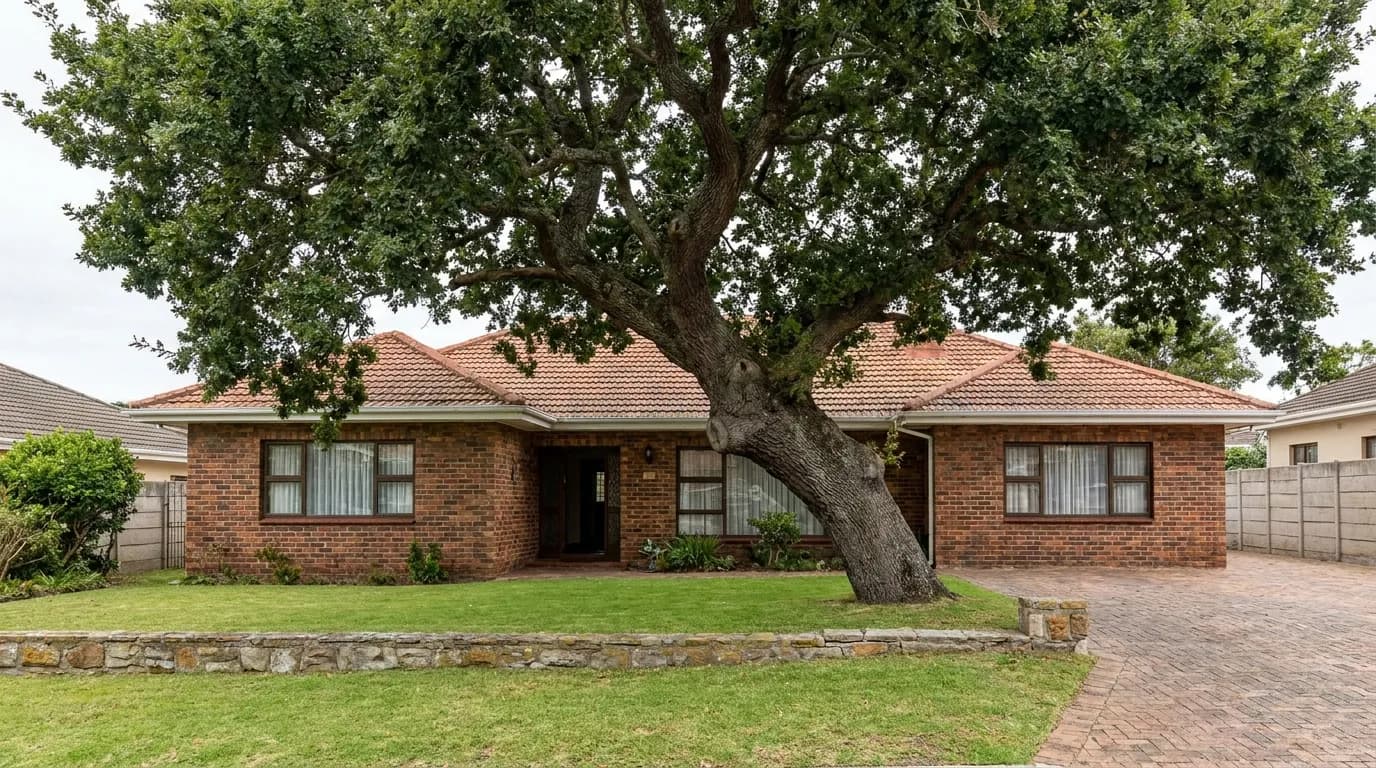 A large overgrown tree leaning over a suburban Cape Town house before removal